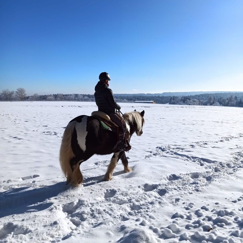 2023 12 Dezember 638